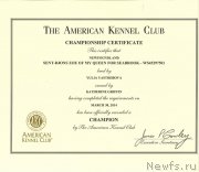 Превью фото № 153207