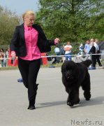 Превью фото № 153220