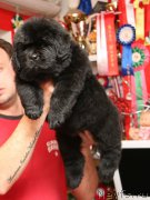 Превью фото № 153335