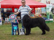 Превью фото № 153468