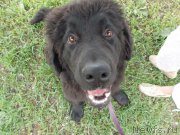 Превью фото № 153494