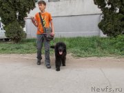 Превью фото № 153497