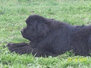 Превью фото № 153509