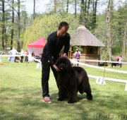 Превью фото № 153519