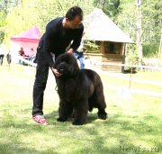 Превью фото № 153520