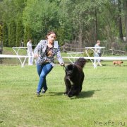 Превью фото № 153521