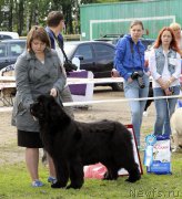 Превью фото № 153575