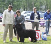 Превью фото № 153577