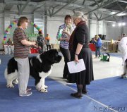 Превью фото № 153588