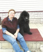 Превью фото № 153648