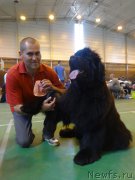 Превью фото № 153701