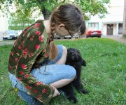 Превью фото № 153752