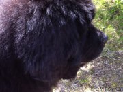 Превью фото № 153760