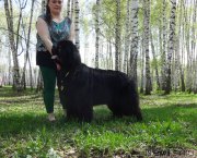 Превью фото № 153761