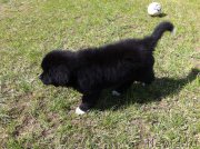 Превью фото № 153764