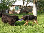 Превью фото № 153933