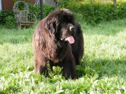 Превью фото № 153938