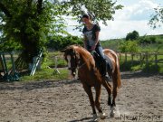 Превью фото № 153942