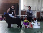 Превью фото № 153983