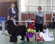 Превью фото № 153985