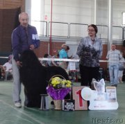 Превью фото № 153986