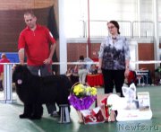 Превью фото № 153988