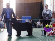 Превью фото № 153990