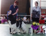 Превью фото № 153991