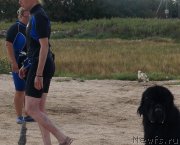 Превью фото № 153998