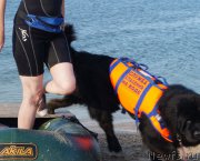 Превью фото № 154000