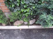 Превью фото № 154041