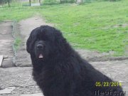 Превью фото № 154054