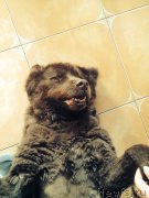 Превью фото № 154063