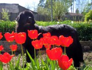 Превью фото № 154124