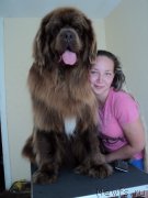 Превью фото № 154127