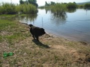 Превью фото № 154141