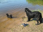 Превью фото № 154142