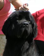 Превью фото № 154158