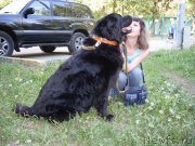 Превью фото № 154190