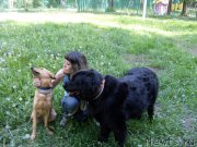 Превью фото № 154191