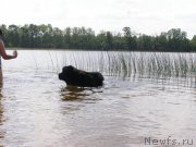 Превью фото № 154200