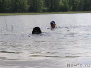 Превью фото № 154203