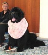 Превью фото № 154275