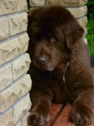 Превью фото № 154286