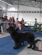 Превью фото № 154299