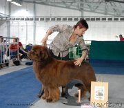 Превью фото № 154300