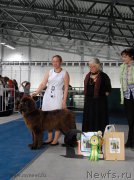 Превью фото № 154308