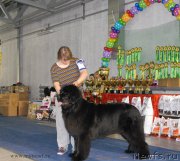 Превью фото № 154359