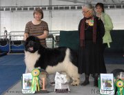 Превью фото № 154403