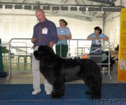 Превью фото № 154425